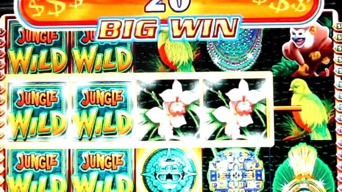 215 Free spins no deposit at Reload Bet Casino