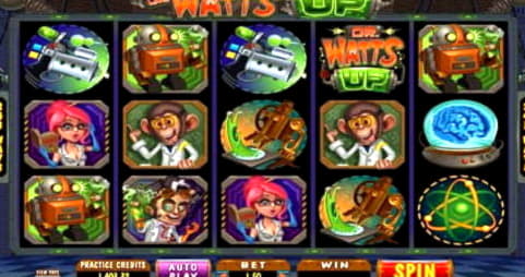 50 Free spins at Leo Dubai Casino