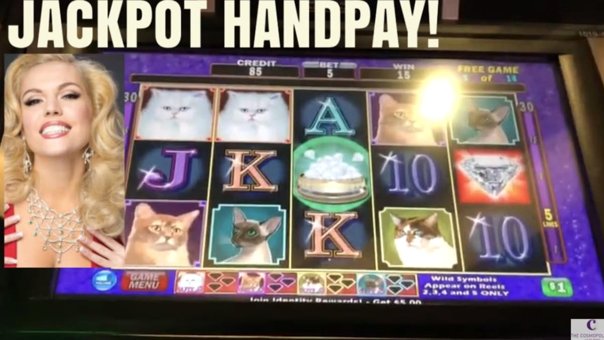 $635 Tournament at Buran Casino