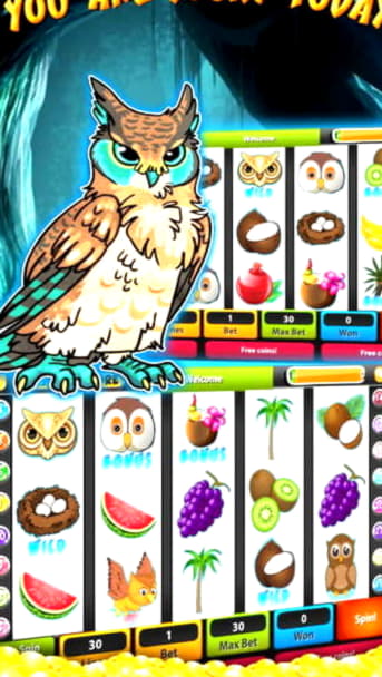 66 FREE SPINS at Boa Boa Casino