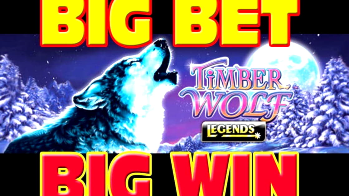 815% Match Bonus at Reload Bet Casino