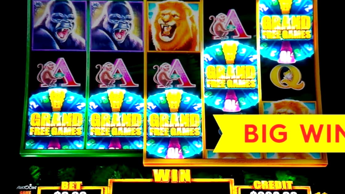 EURO 745 No Deposit Bonus at Royal Dubai Casino