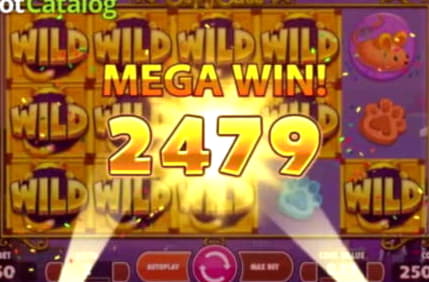 £450 casino chip at Boa Boa Casino