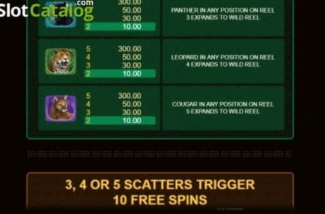 $575 Casino Chip at Unique Casino