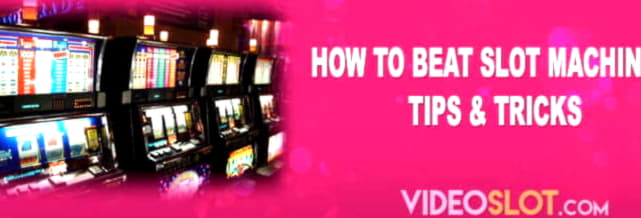 455% No Rules Bonus! at 7 Spins Casino