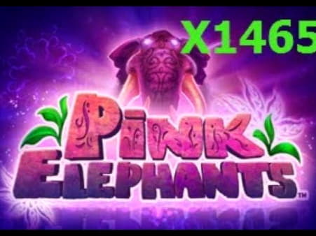 Eur 425 no deposit bonus code at Spin Palace Casino