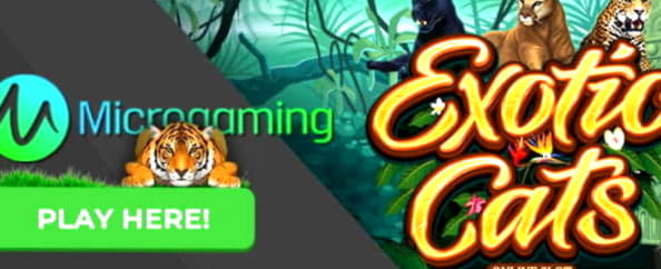 11 Free spins at Party Casino