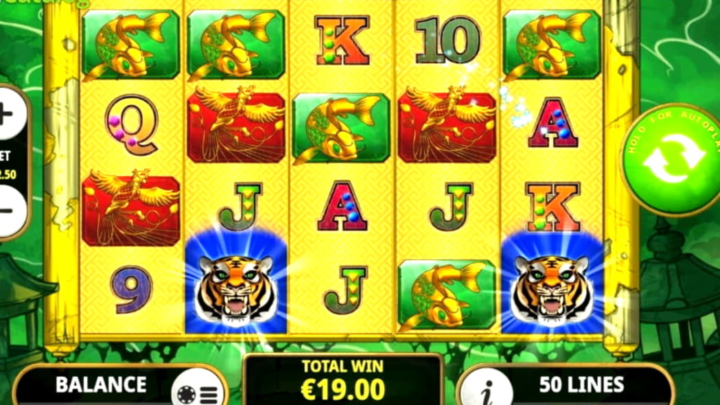 €990 Daily freeroll slot tournament at Platin Casino
