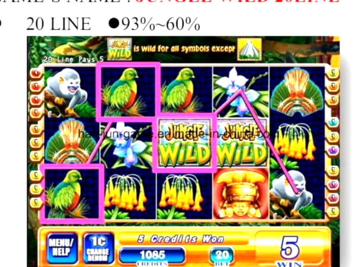 50 Loyal Free Spins! at Boa Boa Casino