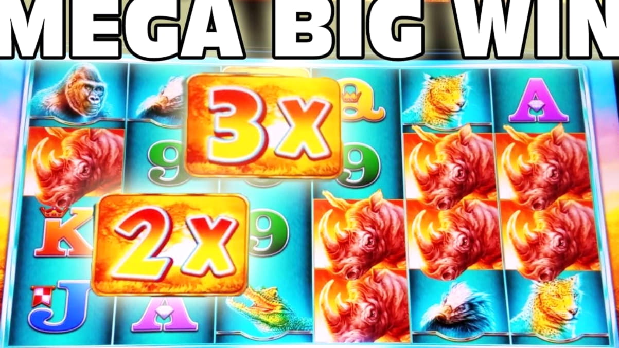 $315 Tournament at Zodiac Casino