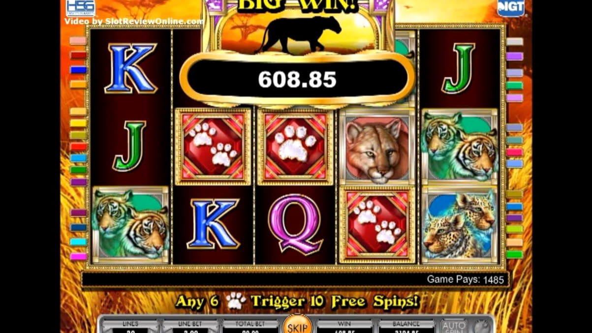 EUR 75 Casino tournaments freeroll at Party Casino