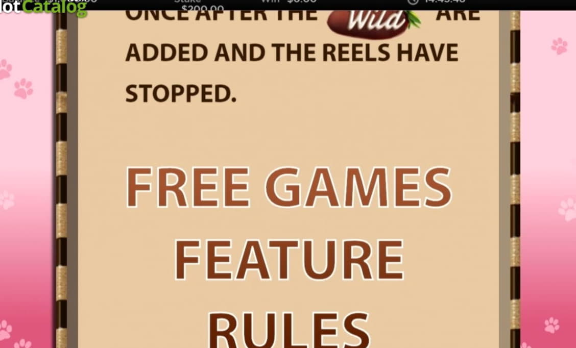 EUR 4085 No Deposit at Betzest Casino