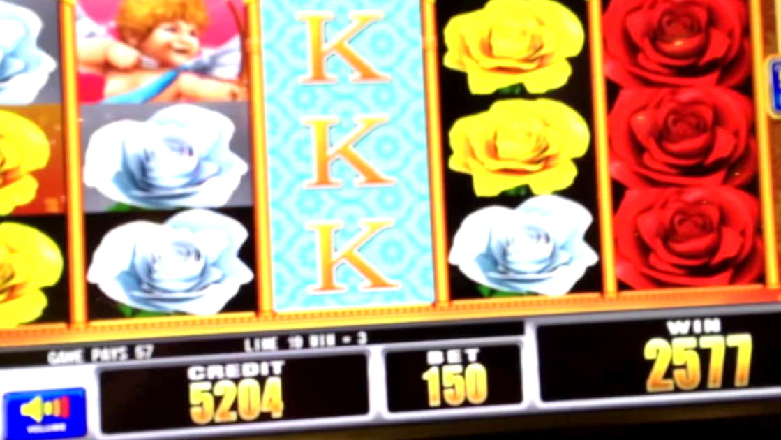 €333 Daily freeroll slot tournament at Unique Casino