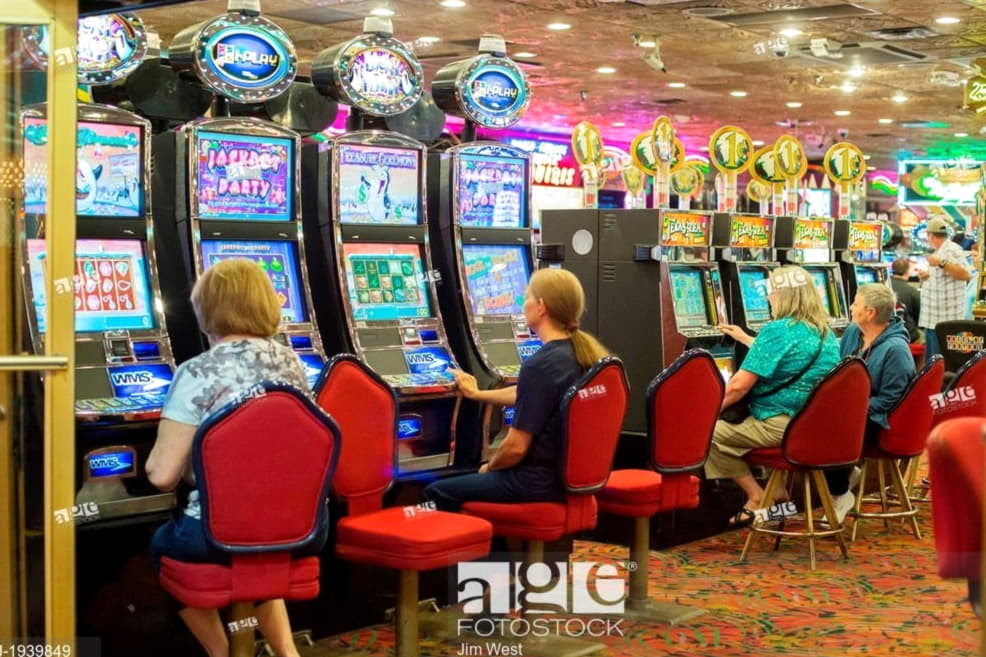 730% Casino match bonus at Betzest Casino