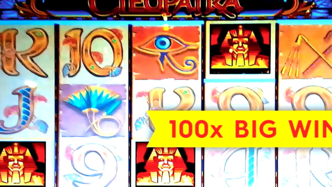 295 FREE Spins at Leo Dubai Casino