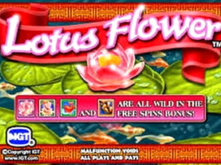 ﻿$390 No deposit at Superior Casino