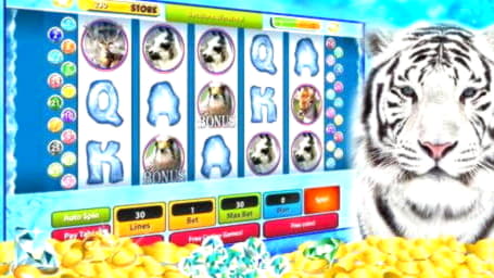 €925 Mobile freeroll slot tournament at Superior Casino