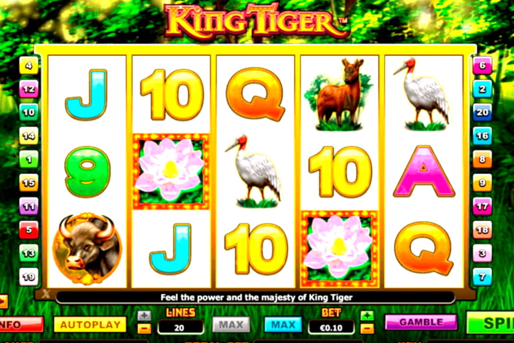 $140 Free Casino Ticket at 7 Spins Casino