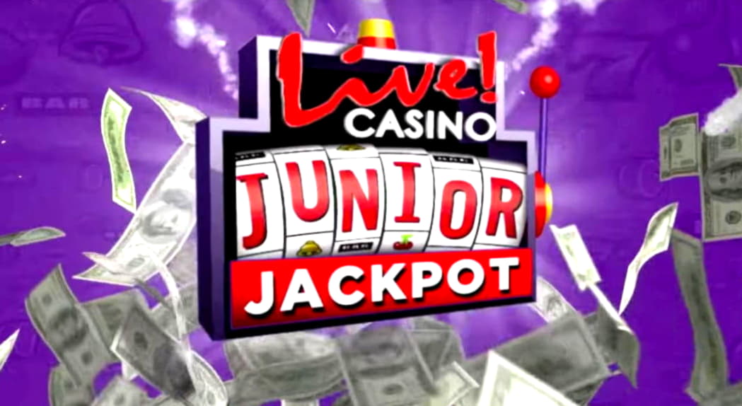 €295 Daily freeroll slot tournament at Leo Dubai Casino