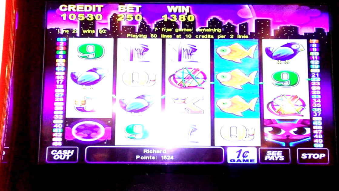 330% Welcome Bonus at CasiPlay Casino