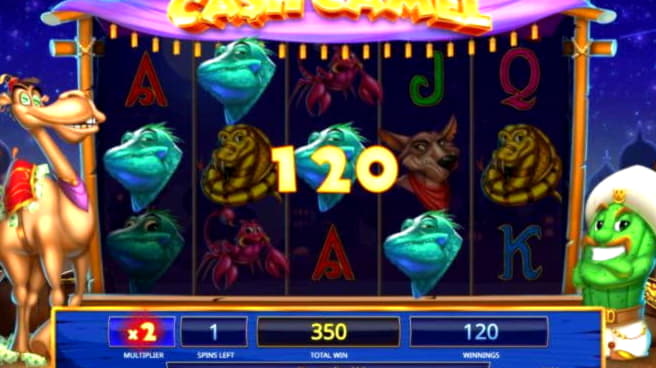 280% Best signup bonus casino at Mongoose Casino