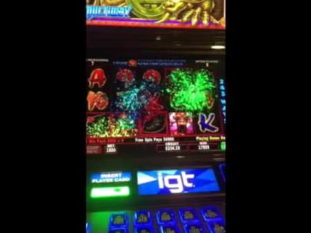 195 Trial Spins at Mongoose Casino