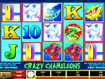 465% No Rules Bonus! at Platin Casino
