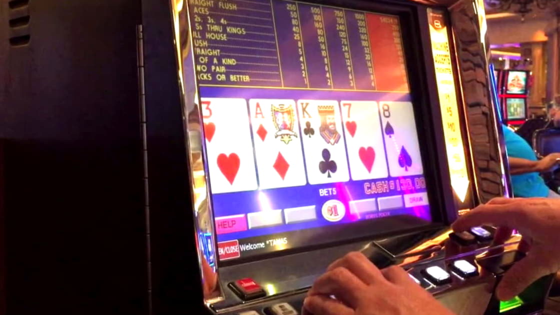 15 Loyal Free Spins! at 7 Reels Casino