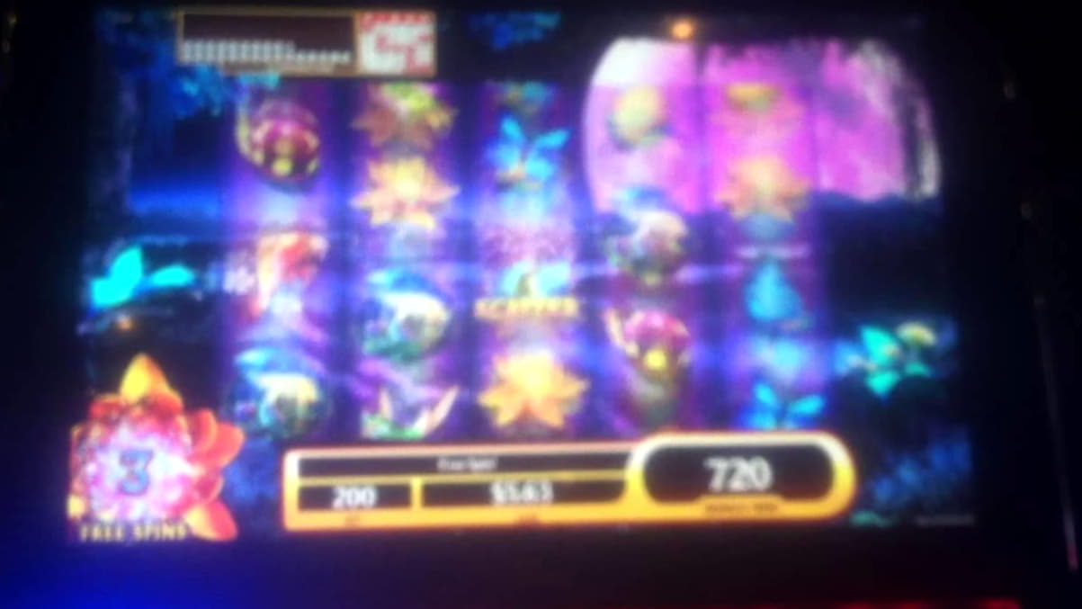 260 Free spins no deposit at Betzest Casino