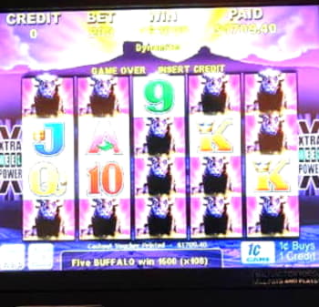€290 Tournament at LSbet Casino