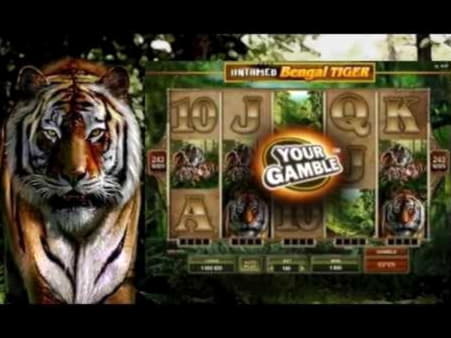 300% Match bonus casino at Reload Bet Casino