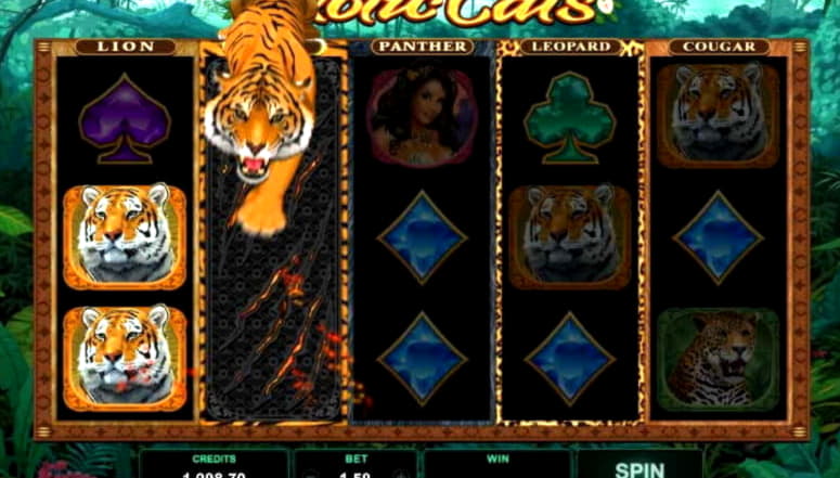 805% Signup Casino Bonus at Platinum Play Casino