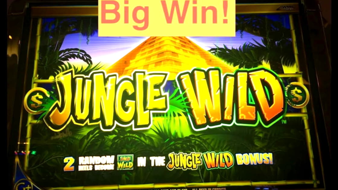 605% Signup Casino Bonus at Amazing Casino 
