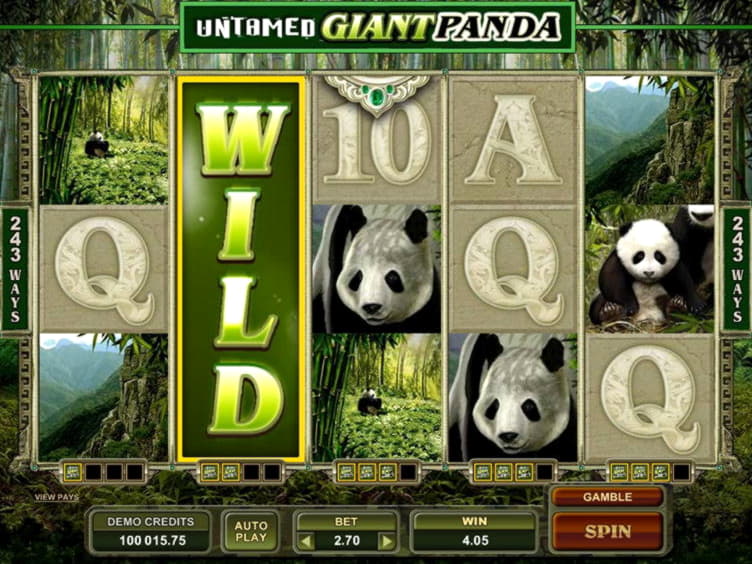 77 Free Spins no deposit casino at Platin Casino