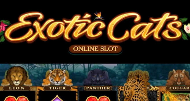 190 free spins at 7 Spins Casino