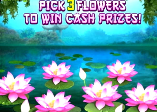 235 Trial Spins at Unique Casino