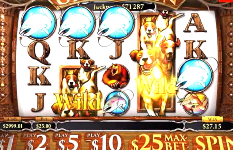 ﻿$550 Online Casino Tournament at Zet Casino