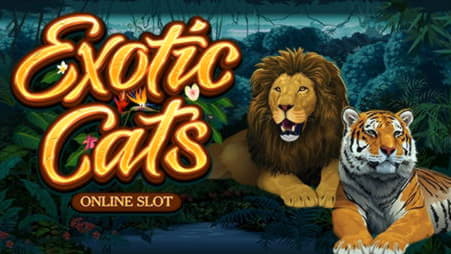 65 Free spins no deposit casino at Spin Palace Casino