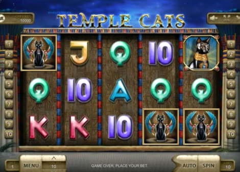 85 Free spins casino at Spin Palace Casino