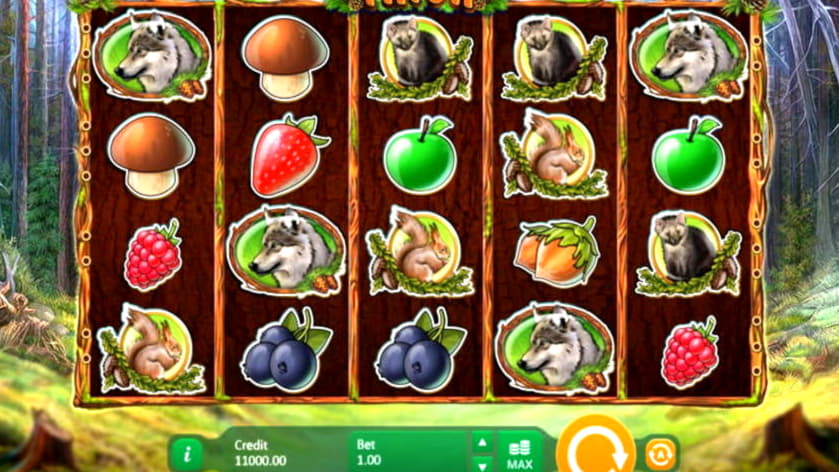 $3510 No Deposit Bonus Code at CasiPlay Casino