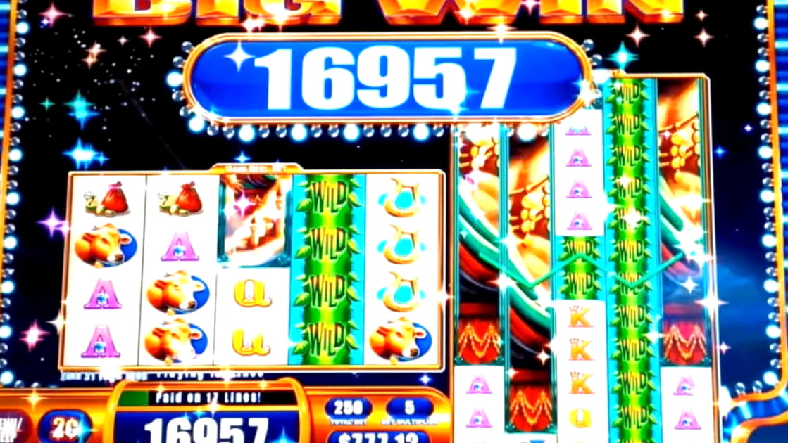 ﻿$515 Mobile freeroll slot tournament at Platin Casino
