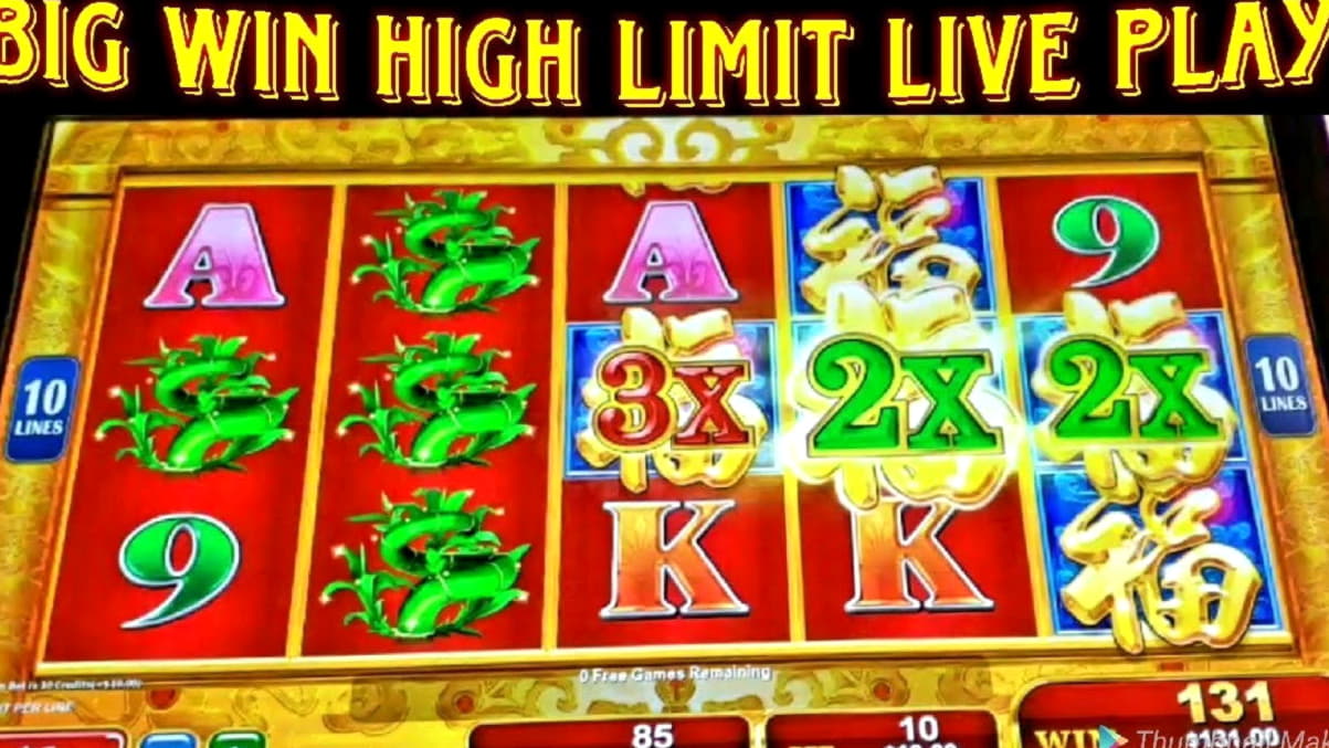 260 Free Spins no deposit casino at Mongoose Casino