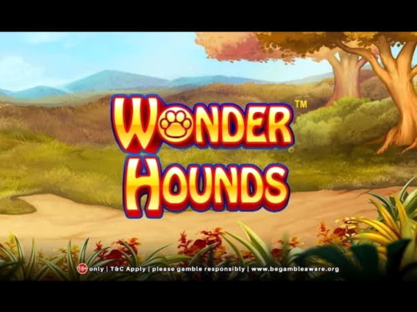 €465 NO DEPOSIT BONUS at Reload Bet Casino