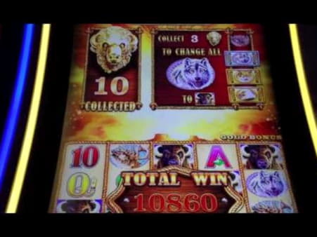 EURO 435 free chip casino at 7 Reels Casino