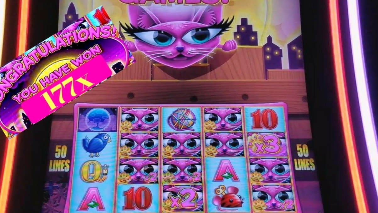 980% First Deposit Bonus at Mongoose Casino