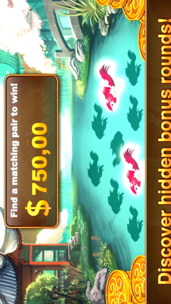 310% First deposit bonus at Reload Bet Casino