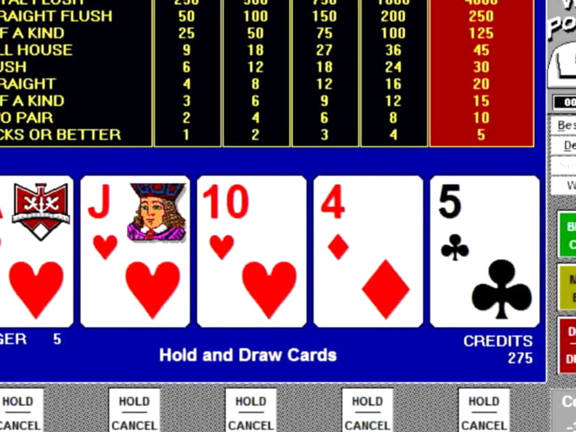 295 Loyal Free Spins! at Platin Casino