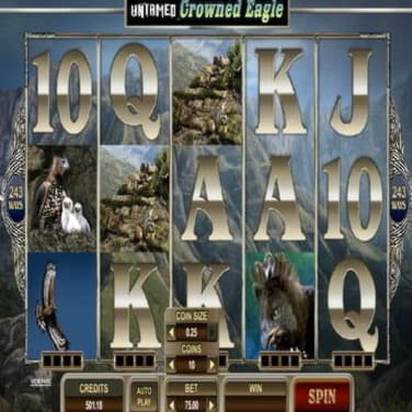 ﻿$450 Tournament at LSbet Casino