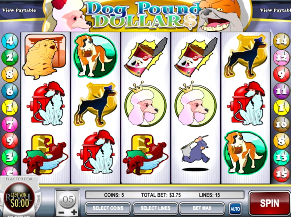 EURO 195 casino chip at Buran Casino
