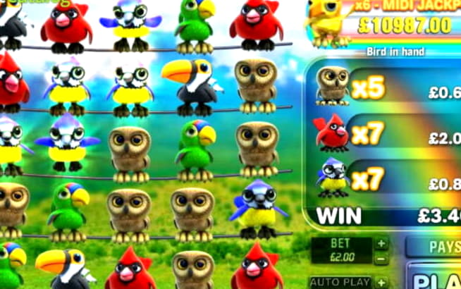 705% No Rules Bonus! at LSbet Casino